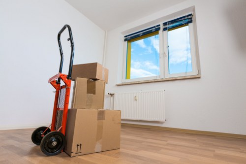 Accessibility review for Noakhill area storage information